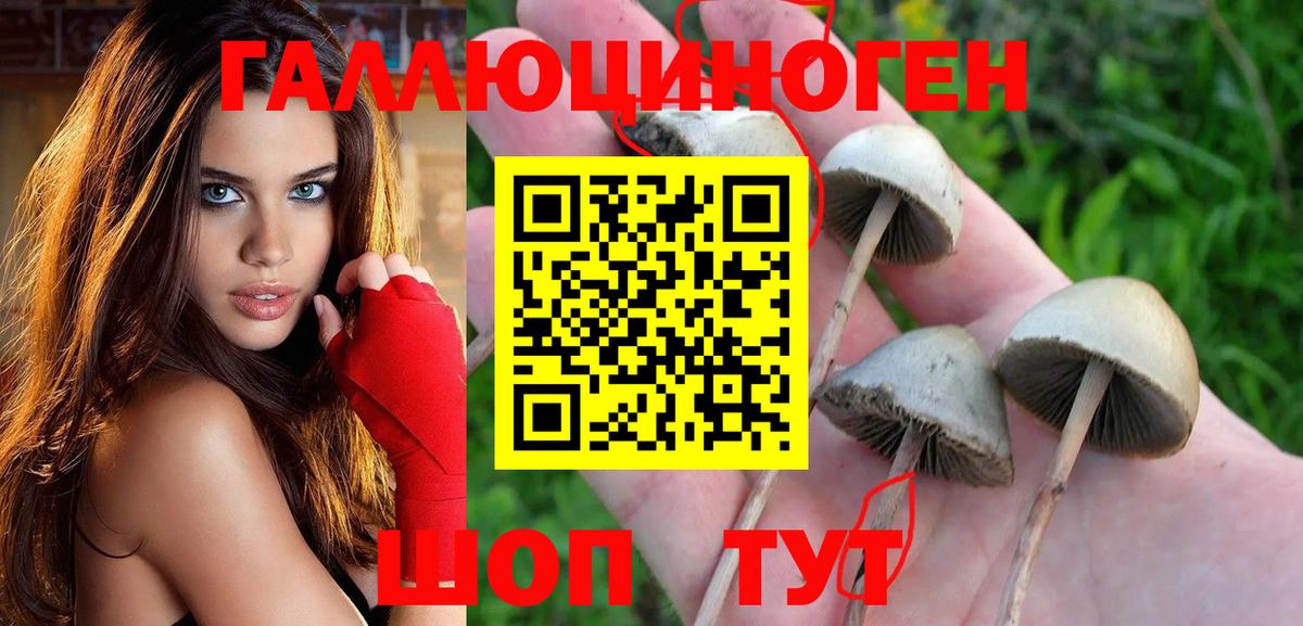 Псилоцибиновые грибы мицелий Белгород