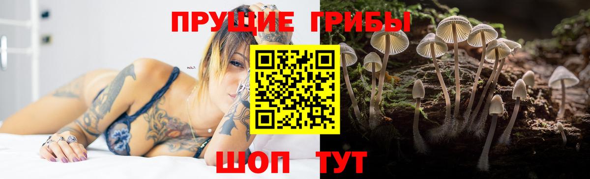 Белгород  Галлюциногенные грибы мухоморы  Вход с VPN 